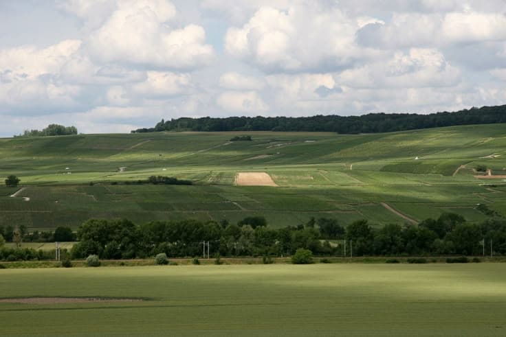 8 HP vivo RAM 12GB 2026: Review Performa & Rekomendasi Terbaik